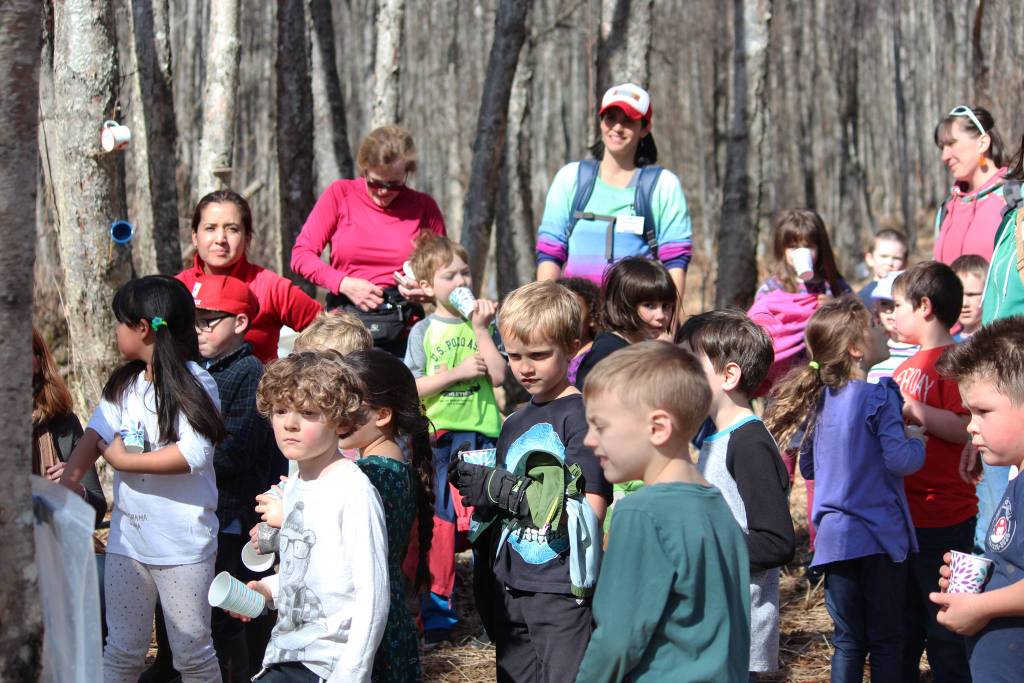 First grade students from Paul Banks Elementary School learn about birch syrup on a field trip to the grove tapped by Bridge Creek Birch Syrup off East End Road on Friday, April 12, 2019 in Homer, Alaska. (Photo by Megan Pacer/Homer News)