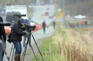 Birders line the bike path on the Homer Spit while looking for shorebirds in Mud Bay on Friday morning, May 11, 2018, for the Kachemak Bay Shorebird Festival. (Photo by MIchael Armstrong / Homer News)