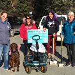Members of the Homer Animal Friends participate in a Poop Patrol event on April 13, 2019 in Homer, Alaska. (Photo by Janelle Spurkland)