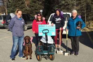 Members of the Homer Animal Friends participate in a Poop Patrol event on April 13, 2019 in Homer, Alaska. (Photo by Janelle Spurkland)