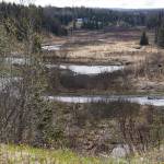 Reeling ‘Em In: River salmon fishing opens Saturday