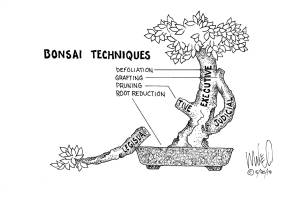 Letters to the editor