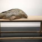 First Friday features Mary Epperson Day celebration