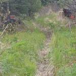 This May 23, 2019, photo shows a trail along a section line and pedestrian easement running between private property in the Dorothy Drive area near Homer, Alaska. (Photo courtesy Roberta Highland)