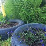 Out of the Office: In Pursuit of a Green Thumb