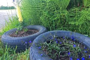 Out of the Office: In Pursuit of a Green Thumb