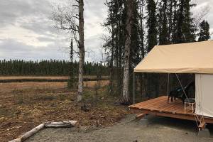 Amy George, who used to run a bed and breakfast out of her home, started offering glamping experiences last year. She has two luxury tents that can sleep up to four people, as seen on June 12, 2018, near Soldotna, Alaska. (Photo by Victoria Petersen/Peninsula Clarion)