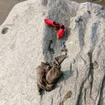 Out of the Office: The waves, or places I belong