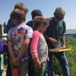 Rob Lund, right, shows a beehive to children on a Center for Alaskan Coastal Studies field trip on June 30, 2019, in Homer, Alaska. (Photo provided)