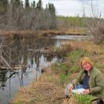 A Cook Inletkeeper volunteer does stream monitoring of Fish Creek, Alaska, in this 2011 file photo. (Photo provided/Cook Inletkeeper)