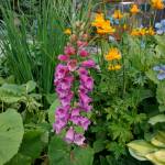 Gardeners’ Weekend to feature keynote speaker, five garden tour