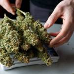 Puff, puff passed: Juneau Assembly OKs onsite pot smoking