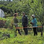 Visitors ask questions of Rachel Lord, who owns Alaska Stems, during this years Garden Tour on Sunday, July 28, 2019 at her garden in Homer, Alaska. (Photo by Megan Pacer/Homer News)
