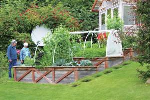 Visitors inspect various growing produce at one of five expansive gardens featured in this years Garden Tour on Sunday, July 28, 2019 in and around Homer, Alaska. (Photo by Megan Pacer/Homer News)