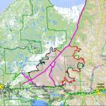 As portions of the Swan Lake Fire continue to smolder in the Kenai National Wildlife Refuge, new forest growth has already started sprouting near Watson Lake as seen here on July 24, 2019. (Courtesy Eastern Area Incident Management Team)