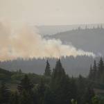 A spruce tree flares up in the North Fork fire as it burns near the south end of the North Fork Road on Sunday evening, Aug. 18, 2019, near Homer, Alaska. (Photo by Michael Armstrong/Homer News)