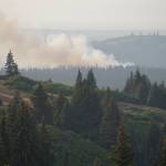 The North Fork fire burns near the south end of the North Fork Road on Sunday evening, Aug. 18, 2019, near Homer, Alaska, as seen from Diamond Ridge Road. (Photo by Michael Armstrong/Homer News)