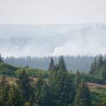 The North Fork fire burns near the south end of the North Fork Road on Monday evening, Aug. 19, 2019, near Homer, Alaska, as seen from Diamond Ridge Road. Smoke is blowing from the southwest and along the Anchor River valley. (Photo by Michael Armstrong/Homer News)