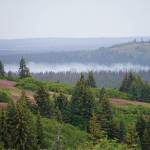 The North Fork fire burns near the south end of the North Fork Road on Tuesday morning, Aug. 20, 2019, near Homer, Alaska, as seen from Diamond Ridge Road. Smoke is blowing from the northeast and along the Anchor River valley. (Photo by Michael Armstrong/Homer News)