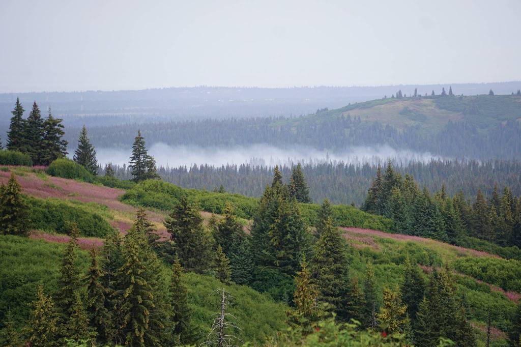The North Fork fire burns near the south end of the North Fork Road on Tuesday morning, Aug. 20, 2019, near Homer, Alaska, as seen from Diamond Ridge Road. Smoke is blowing from the northeast and along the Anchor River valley. (Photo by Michael Armstrong/Homer News)
