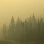 Smoke from the Swan Lake Fire impairs visibility on the Sterling Highway on Aug. 20, 2019. (Photo by Victoria Petersen/Peninsula Clarion)