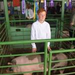 Alekzander Angleton takes a photo with his grand champion pig, Chaos, at the Kenai Peninsula Fair on Saturday, Aug. 17, 2019 at the fairgrounds in Ninilchik, Alaska. (Photo by Brian Mazurek/Peninsula Clarion)