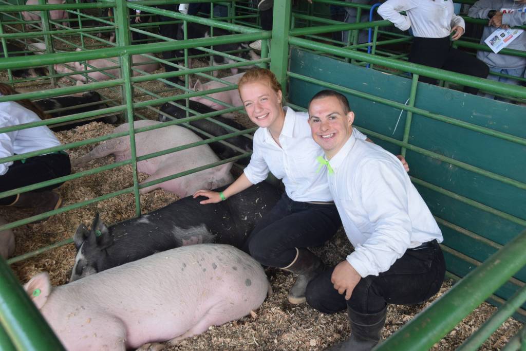 Bailey Epperheimer and Judah Johnston pose with Epperheimers pigs, Maui and Chancho, at the Kenai Peninsula Fair on Saturday, Aug. 17, 2019 at the fairgrounds in Ninilchik, Alaska. (Photo by Brian Mazurek/Peninsula Clarion)