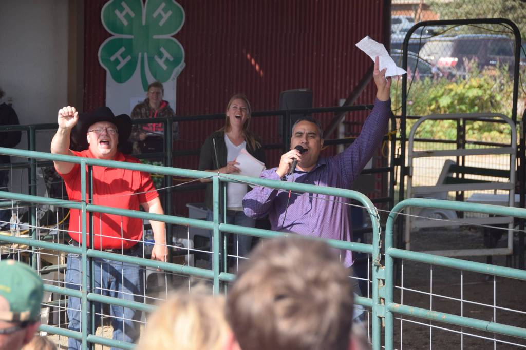 brian mazurek/peninsula clarion                                Auctioneers Andy Kriner, left, and Rayne, Reynolds, right, celebrate a successful sale during the 4H Junior Market Livestock Auction at the Kenai Peninsula Fair on Saturday at the fairgrounds in Ninilchik. (Photo by Brian Mazurek/Peninsula Clarion)
