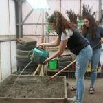 Madison Story (foreground) and Hannah Hatfield (background) till and wet a garden bed to prepare the dirt for planting during their natural resource technology class Friday, Aug. 30, 2019 at Homer High School in Homer, Alaska. (Photo by Megan Pacer/Homer News)