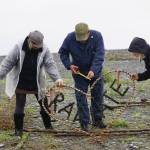 Burning Basket facilitator Mavis Muller, left, works on the sign for the 16th annual Burning Basket, Radiate, on Monday, Sept. 9, 2019, at Mariner Park on the Homer Spit in Homer, Alaska. Helping her are Charles Aguilar, center, and Patty Delate, right. (Photo by Michael Armstrong/Homer News)