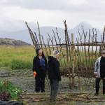 Burning Basket comes of age with sweet number 16, Radiate