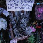 A sign on Radiate, the 16th annual Burning Basket, asks participants to place a feather in the basket to honor wild animals lost in the summer 2019 wildlfires. The basket was burned on Sunday night, Sept. 15, 2019, at Mariner Park on the Homer Spit in Homer, Alaska. (Photo by Michael Armstrong/Homer News)