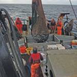 Tanner crab fisheries open Tuesday