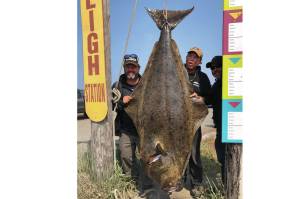 Homer Jackpot Halibut Derby winner Jason Schuler, left, of Wahpeton, North Dakota, poses with his 224.2-pound fish on July 12, 2019, in Homer, Alaska. To the right of the fish is Captain Daniel Donich of Daniels Personalized Guide Service. Schuler caught the fish on Donichs boat, the Optimist. (Photo provided)
