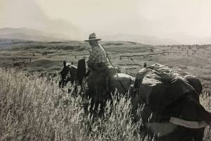 Dick (Richard) Stingley