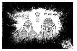 Letters to the Editor