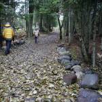 Volunteers on Sunday, Oct. 20, 2019, walk a path between the Homer Theatre and Bartlett Street while searching the woods off Main Street and Pioneer Avenue for Anesha Duffy Murnane, a Homer woman missing since Thursday, Oct. 17, 2019, in Homer, Alaska. (Photo by Michael Armstrong/Homer News)