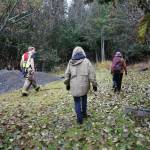 Casey Fetterhoff, left, with the Homer Volunteer Fire Department, leads a search on Sunday, Oct. 20, 2019, off Main Street and Pioneer Avenue for Anesha Duffy Murnane, a Homer woman missing since Thursday, Oct. 17, 2019, in Homer, Alaska. (Photo by Michael Armstrong/Homer News)