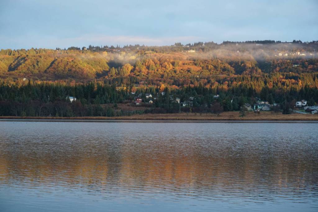 Fall colors shine as the morning light catches the hills above Homer on Oct. 21, 2019, in Homer, Alaska. (Photo by Michael Armstrong/Homer News)