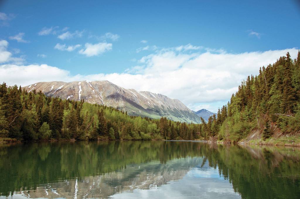 Kathy Cross photographs are featured in an exhibit opening on Friday, Nov. 1, 2019, at Grace Ridge Brewery in Homer, Alaska. (Photo by Kathy Cross)