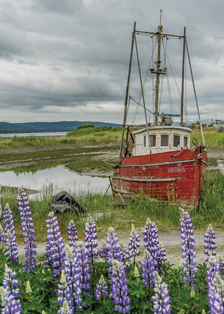 Kathy Cross photographs are featured in an exhibit opening on Friday, Nov. 1, 2019, at Grace Ridge Brewery in Homer, Alaska. (Photo by Kathy Cross)