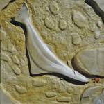 Dennis Randas Crab Hunter, one of the works of art in the 10x10 show at Bunnell Street Arts Center that opened on Nov. 8, 2019, in Homer, Alaska. (Photo by Michael Armstrong/Homer News)