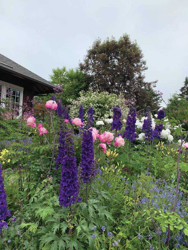 Kachemak Gardener: Until next year …
