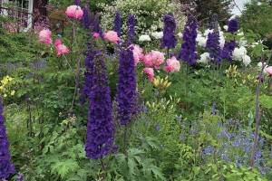 Kachemak Gardener: Until next year …