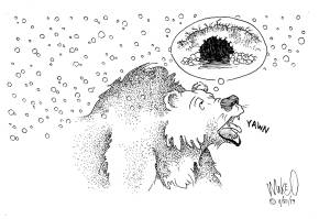 Letters to the Editor