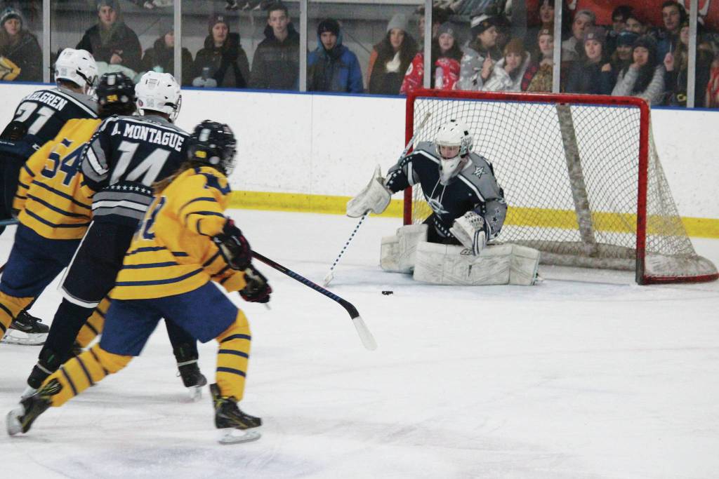 Homer hockey team wins End of the Road Shootout