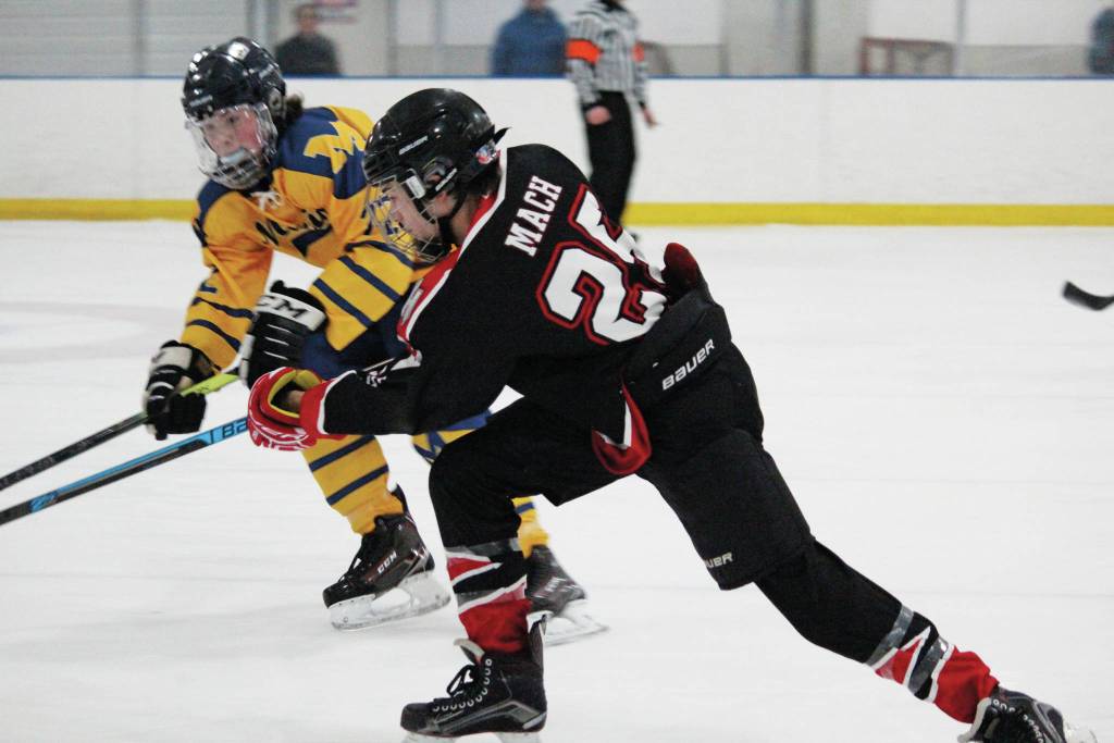 Homer hockey team wins End of the Road Shootout