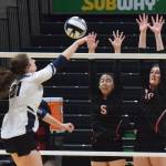 Kenais Chelsea Plagge (left) and Abby Every team up for a block on Homers Marina Carroll, Saturday, Nov. 16, 2019, at the Class 3A state volleyball tournament at the Alaska Airlines Center in Anchorage, Alaska. (Photo by Joey Klecka/Peninsula Clarion)
