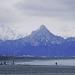 Recent snow in the Kenai Mountains across Kachemak Bay has made the Poot Peak panda more visible, as seen here on Nov. 18, 2019, in Homer, Alaska. (Photo by Michael Armstrong/Homer News)