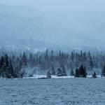 Snow and fog creep up the ridges above Homer on Monday, Dec. 2, 2019 as seen from across Beluga Lake in Homer, Alaska. Homer got its first dump of snow that stuck around on Sunday evening. (Photo by Megan Pacer/Homer News)